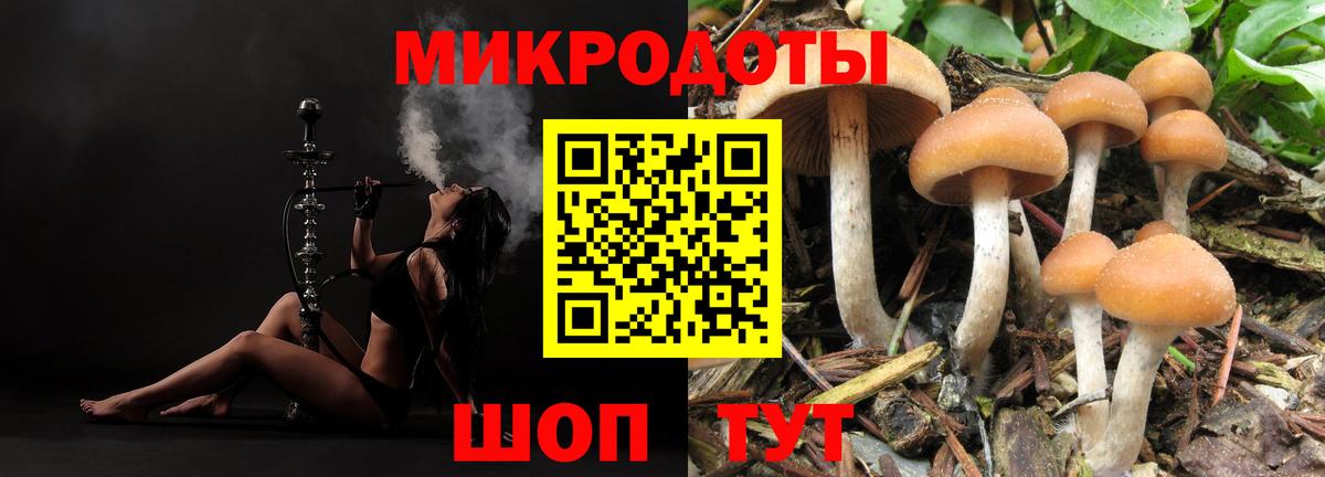 Псилоцибиновые грибы Magic Shrooms  Псилоцибиновые грибы Magic Shrooms  Вход с VPN  Кириши 